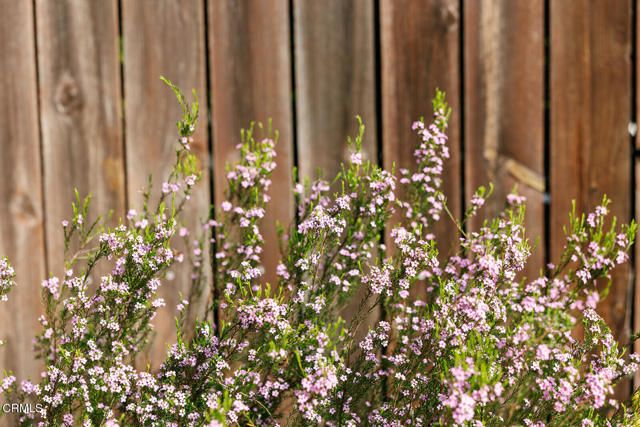 2506 Weston Place, Glendale, CA 91208