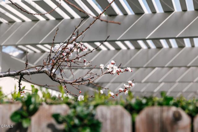 2506 Weston Place, Glendale, CA 91208