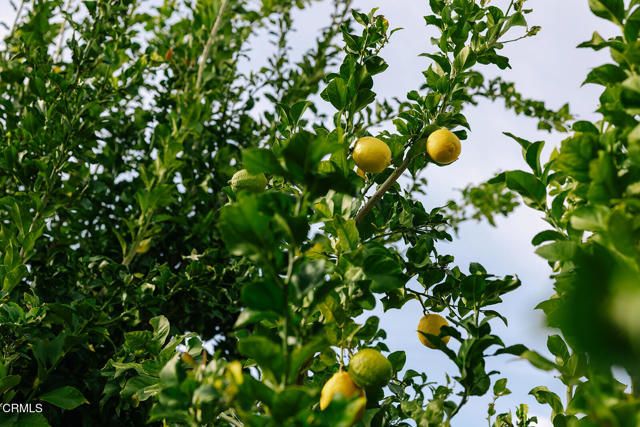 2506 Weston Place, Glendale, CA 91208