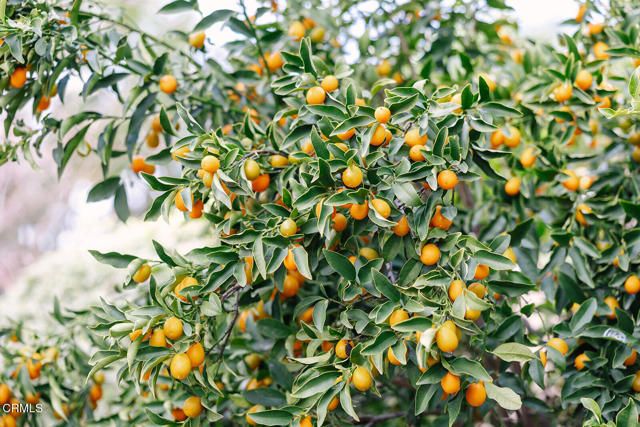 2506 Weston Place, Glendale, CA 91208