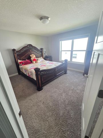 12839 Fraizer Street NE, Blaine, MN 55449