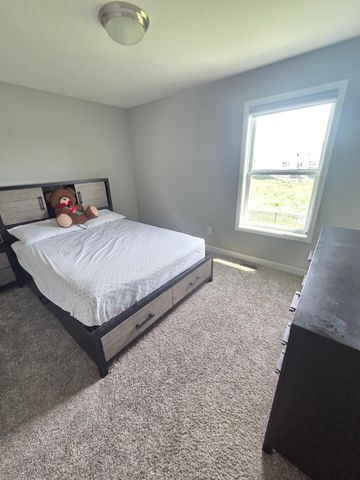 12839 Fraizer Street NE, Blaine, MN 55449