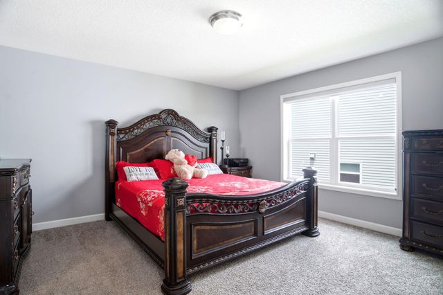 12839 Fraizer Street NE, Blaine, MN 55449