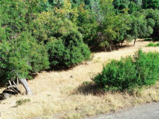 10610 Boren Bega, Kelseyville, CA 95451