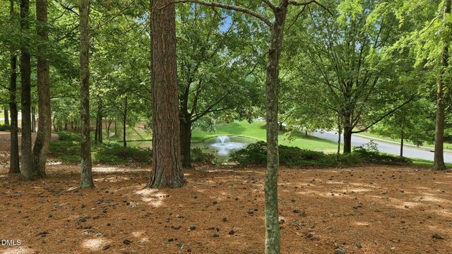 100 Golden Heather, Chapel Hill, NC 27517