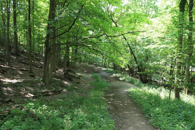 272 Colonial Avenue, Worthington, OH 43085