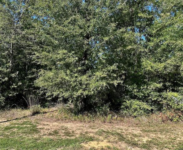 TBD Parkpine, Livingston, TX 77351