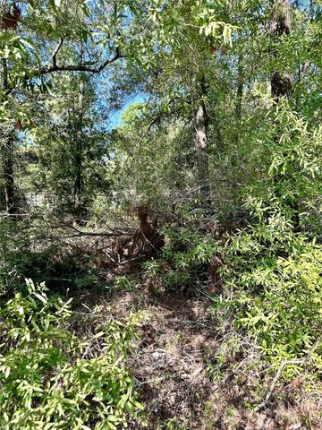 TBD Parkpine, Livingston, TX 77351