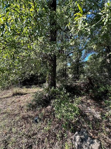 TBD Parkpine, Livingston, TX 77351
