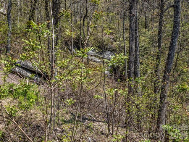 1424 Wolfpen Road, Old Fort, NC 28762