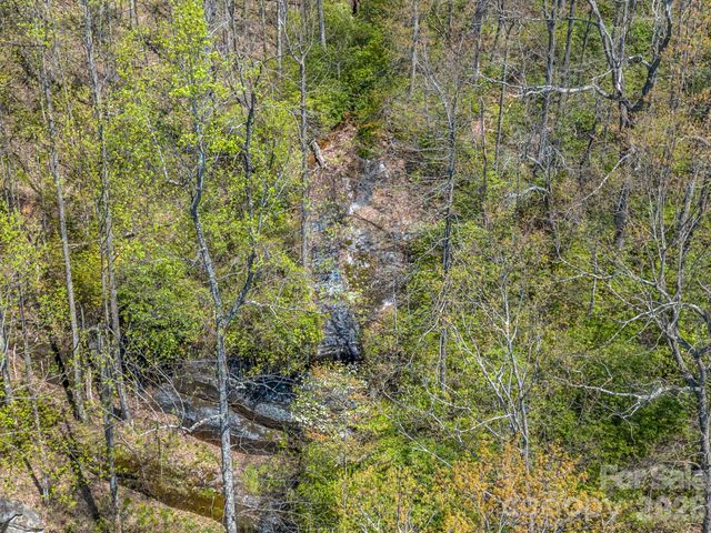 1424 Wolfpen Road, Old Fort, NC 28762