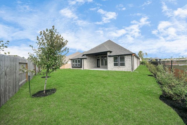 17020 Sweet Iris Court, Conroe, TX 77302