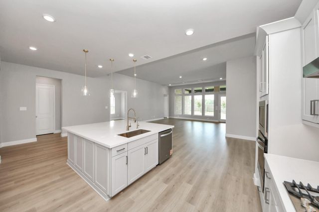 17020 Sweet Iris Court, Conroe, TX 77302