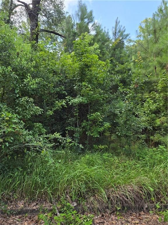1412 Canal Road, Mobile, AL 36605 — exterior