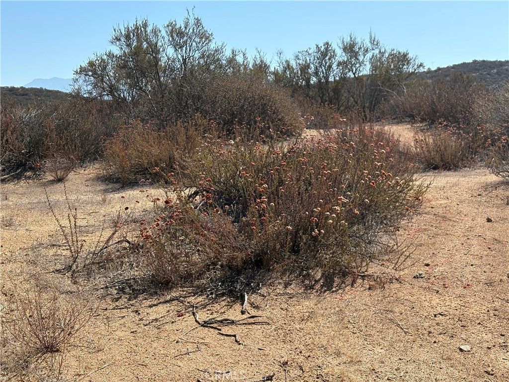 0 Newby Road, Hemet, CA 92543 — photo 4