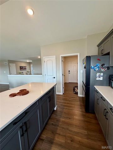 360 Birchwood Drive, Moscow Mills, MO 63362