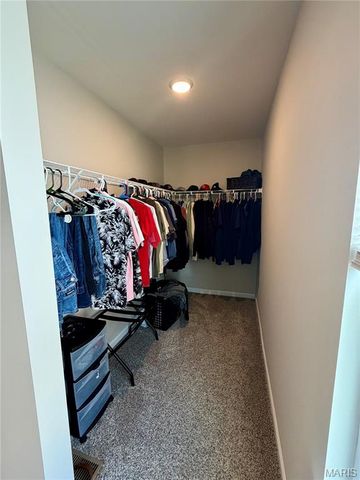 360 Birchwood Drive, Moscow Mills, MO 63362