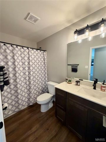 360 Birchwood Drive, Moscow Mills, MO 63362