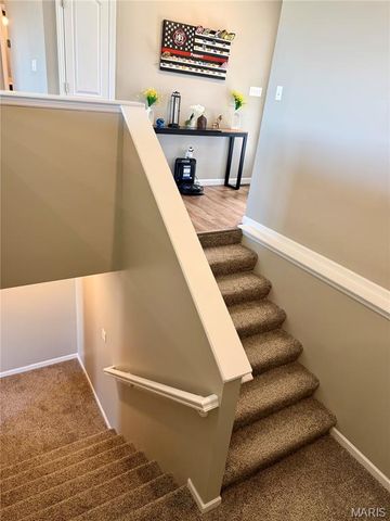 360 Birchwood Drive, Moscow Mills, MO 63362