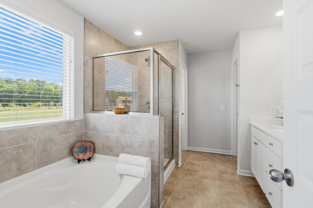 1123 Fitzgerald Court, Summerville, SC 29485