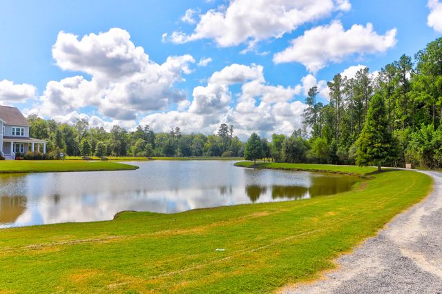 1123 Fitzgerald Court, Summerville, SC 29485