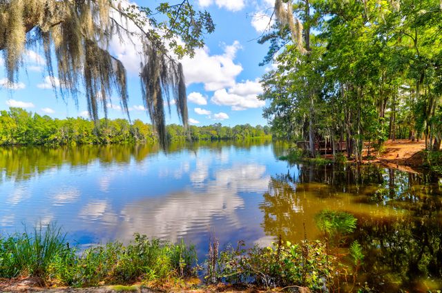 1123 Fitzgerald Court, Summerville, SC 29485