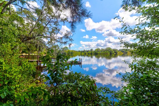 1123 Fitzgerald Court, Summerville, SC 29485