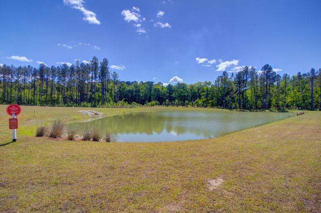1123 Fitzgerald Court, Summerville, SC 29485