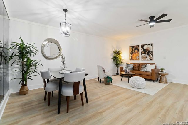 207 Tammy, San Antonio, TX 78216