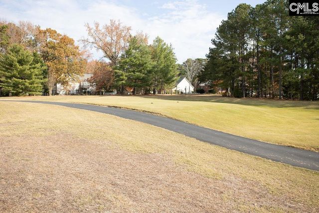 105 Linkside Court, Chapin, SC 29036