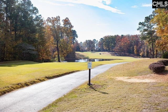 105 Linkside Court, Chapin, SC 29036