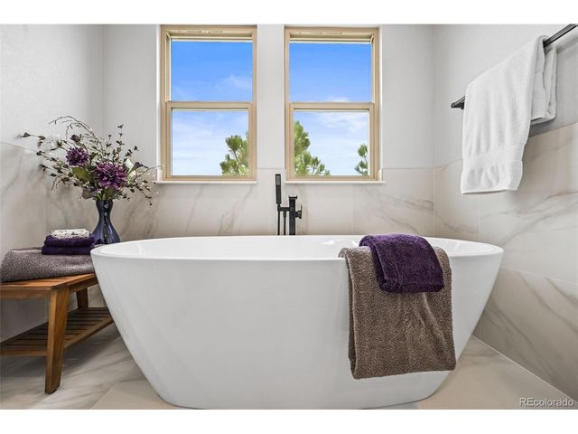 2980 Craig Ct, Castle Rock, CO 80109