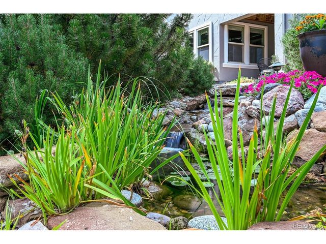 2980 Craig Ct, Castle Rock, CO 80109