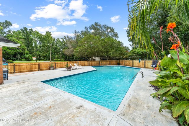 23056 Dewitt Drive, Brooksville, FL 34601