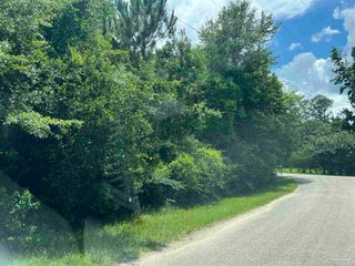 Lot 1 Pine Meadows Loop Rd, Pace, FL 32571
