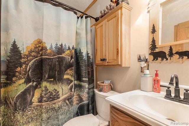 4977 E Buck Rub Road, Custer, MI 49405