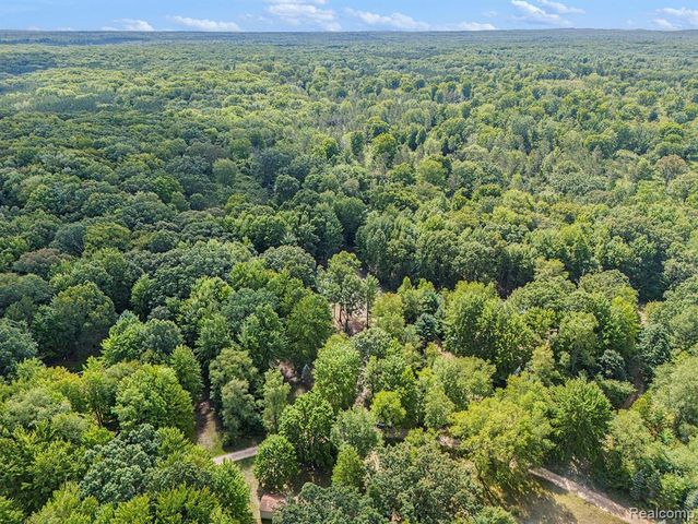 4977 E Buck Rub Road, Custer, MI 49405
