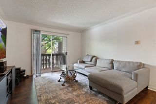4859 Cedar Springs Road 233, Dallas, TX 75219