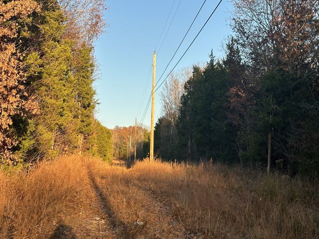0 Owl Hollow Rd, Franklin, TN 37064