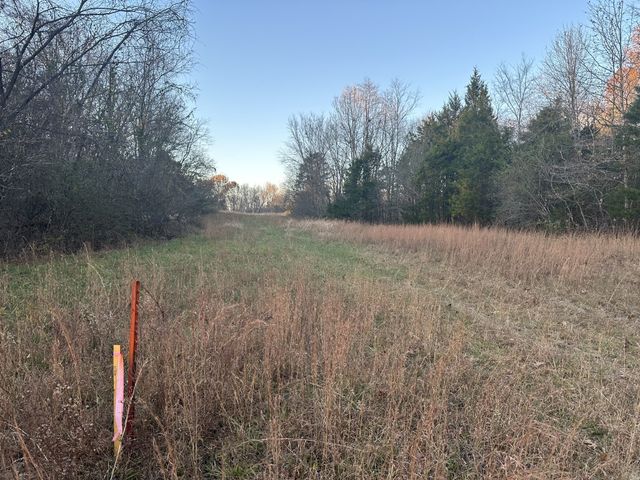 0 Owl Hollow Rd, Franklin, TN 37064