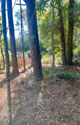 X Blue Ridge Blvd, Defuniak Springs, FL 32433