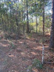 X Blue Ridge Blvd, Defuniak Springs, FL 32433