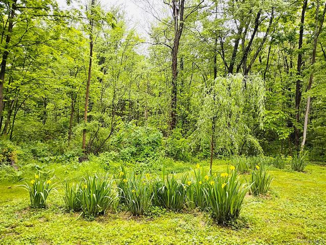17 Gretna Hill Road, Pleasant Valley, NY 12569