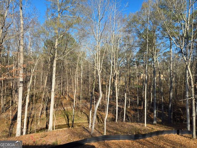 176 Paige Street, Dallas, GA 30132