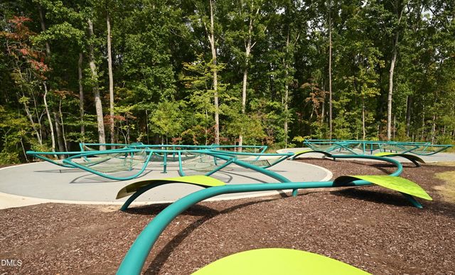 743 Blossom Grove Drive, Cary, NC 27519