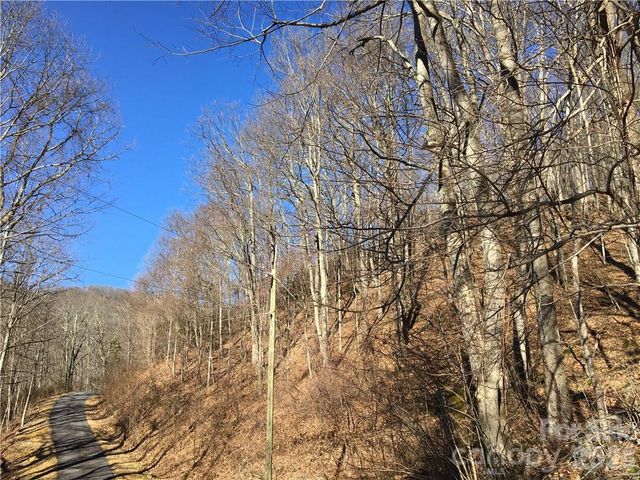 99999 Red Oak Forest Road, Fairview, NC 28730