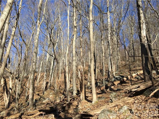 99999 Red Oak Forest Road, Fairview, NC 28730