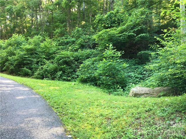 99999 Red Oak Forest Road, Fairview, NC 28730