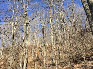99999 Red Oak Forest Road, Fairview, NC 28730