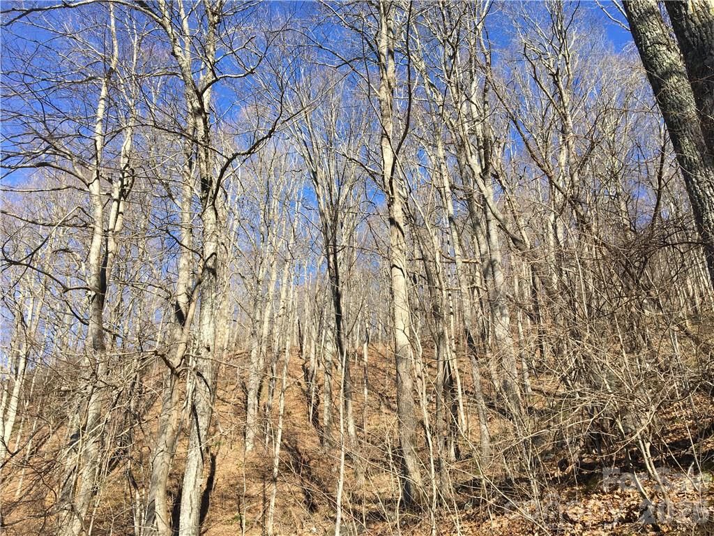 99999 Red Oak Forest Road, Fairview, NC 28730